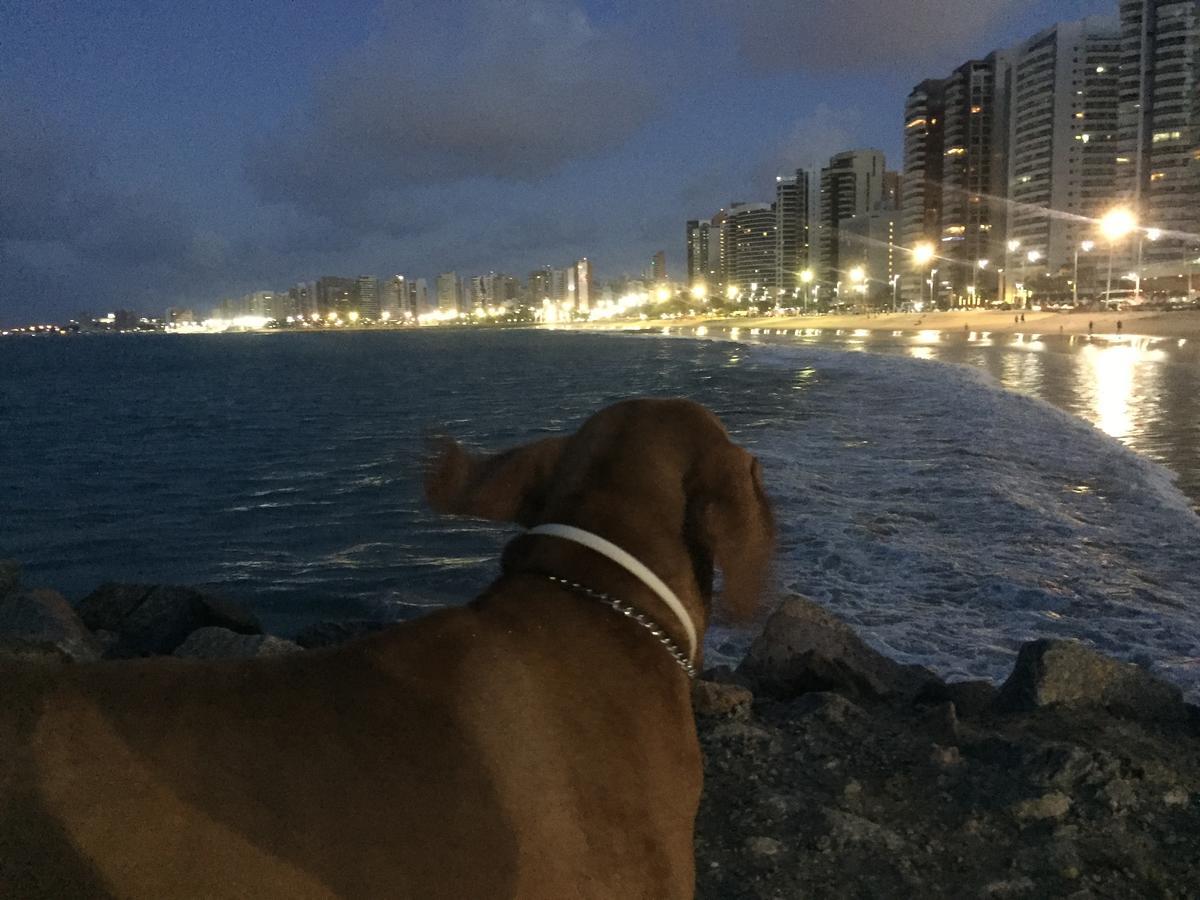 Apartamento Na Melhor Localizacao De Fortaleza!! Eksteriør bilde