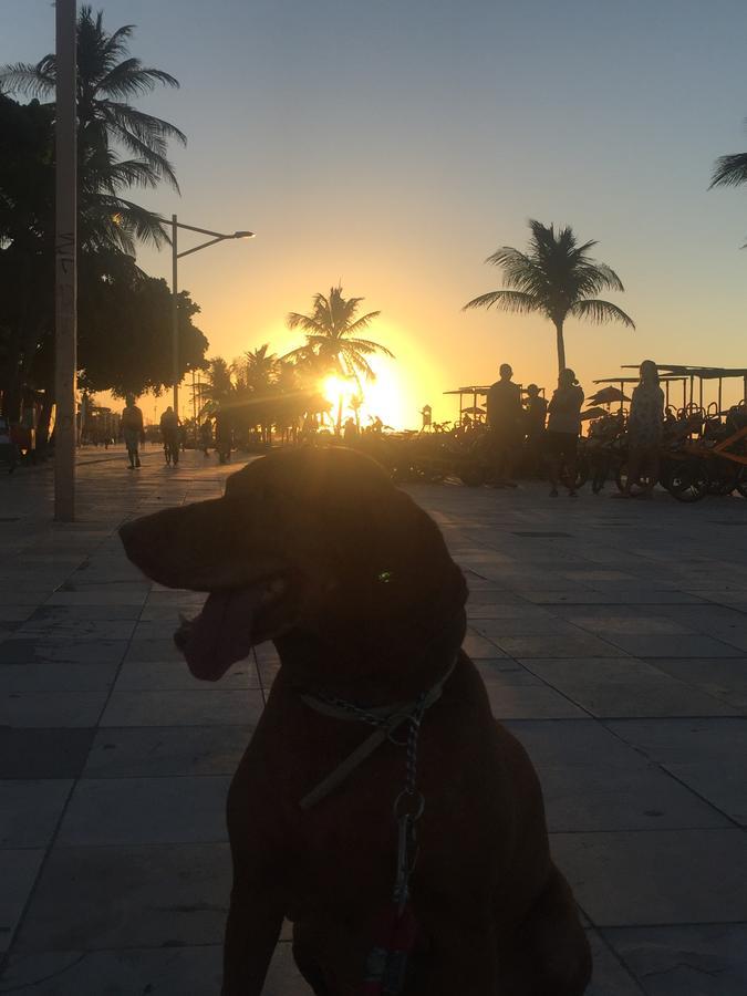 Apartamento Na Melhor Localizacao De Fortaleza!! Eksteriør bilde